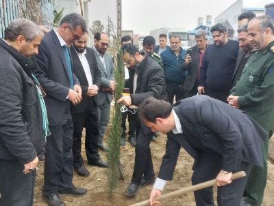 فرهنگ درختکاری باید به یک فرهنگ عمومی در جامعه تبدیل شود