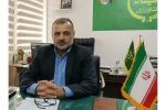 افزایش ۳۰ درصدی کشت کلزا در جویبار
