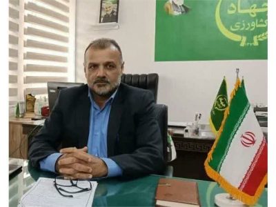 افزایش ۳۰ درصدی کشت کلزا در جویبار