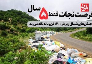 فرصت نجات فقط ۵ سال!
