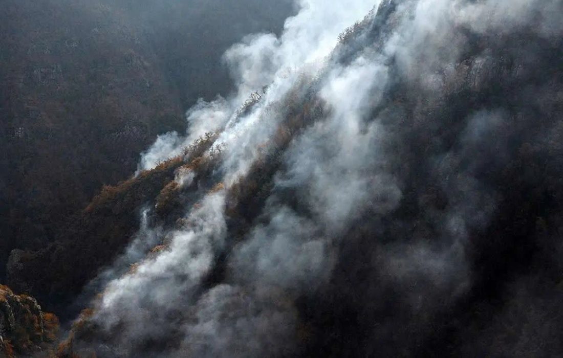 گزارشی از عمدی‌بودن آتش‌سوزی‌های اخیر نداشتیم