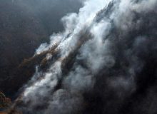 گزارشی از عمدی‌بودن آتش‌سوزی‌های اخیر نداشتیم