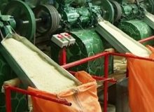 شالیکوبی؛ صنعتی که چشم‌انتظار حمایت است