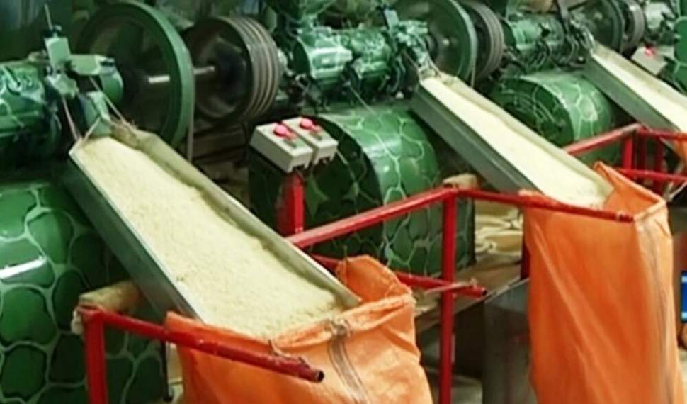 شالیکوبی؛ صنعتی که چشمانتظار حمایت است