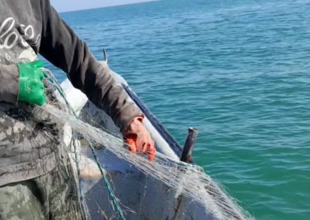 دستگیری ۹ شکارچی غیرمجاز دریایی در جویبار