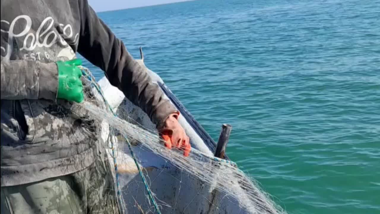 دستگیری ۹ شکارچی غیرمجاز دریایی در جویبار